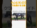 【競馬予想】チャンピオンズカップで穴を開けそうな３頭#shorts