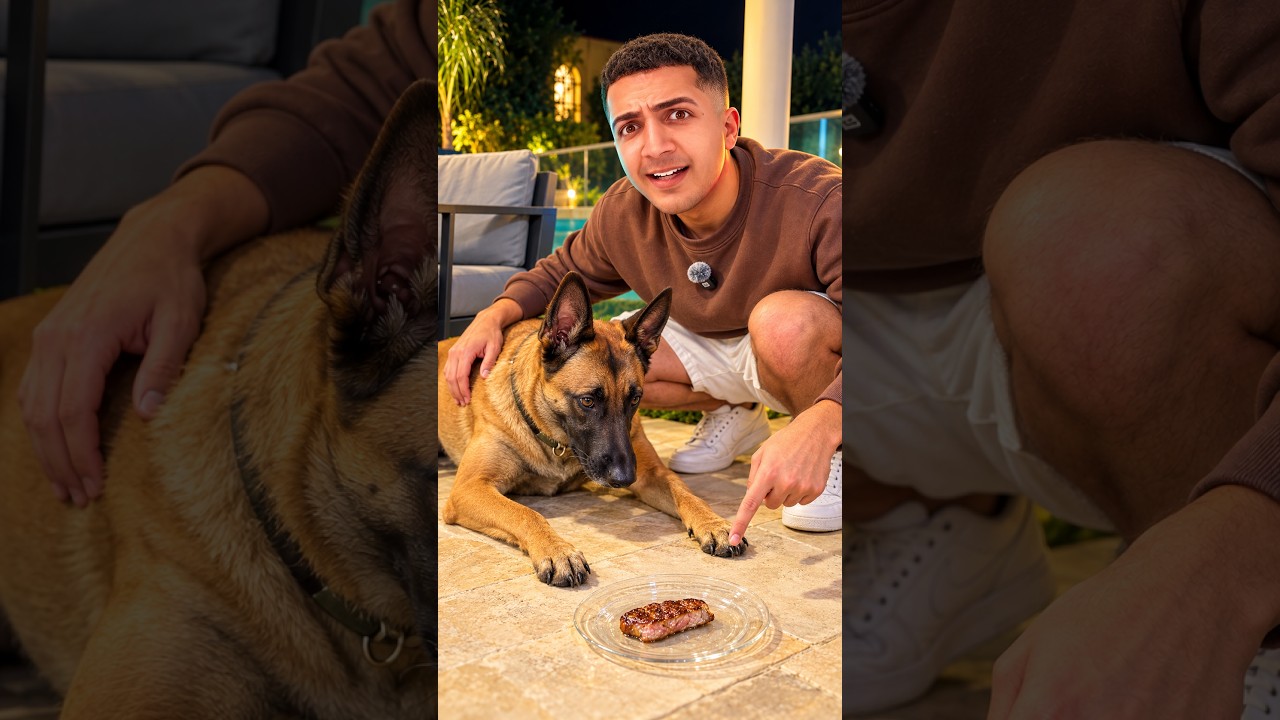 הכלב שלי הכי חכם.. מפתיע ! 🥩😱