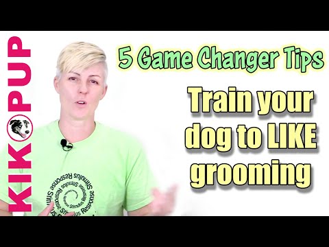 Videó: Hogyan segítheti a kutyáját a testkezeléssel kapcsolatban?