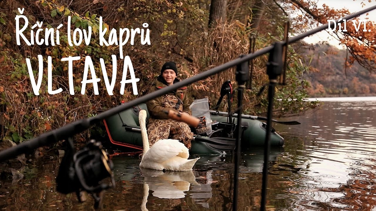 Říční lov kaprů Vltava (River carpfishing Vltava)