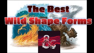 The best Wild Shape forms for your Moon Druid: D&D 5e