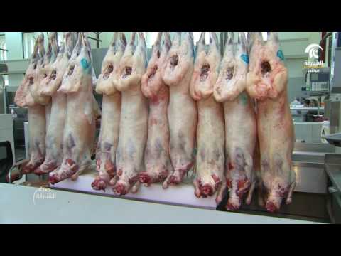 صباح الشارقة فقرة سوقنا سوق الجبيل الشارقة