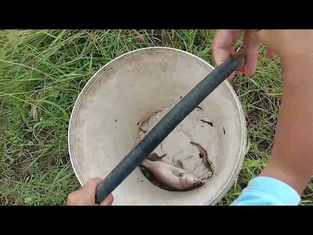 Fishing shrimp with my grandpa and my dad class=