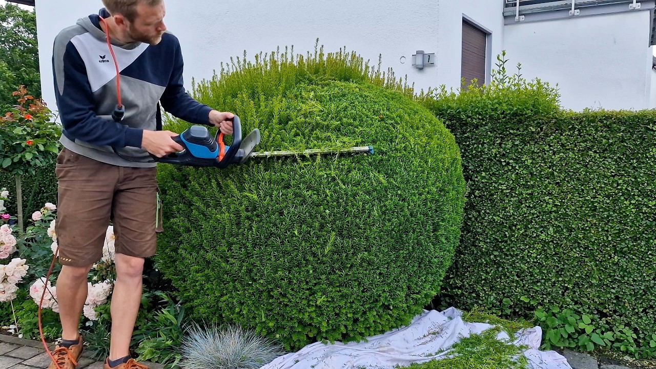 10 Minutes Of Satisfying Hedge Trimming - YouTube