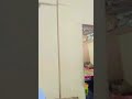 আমার বনের বাসা #shortvideo# you tob# ♥️♥️♥️♥️💐