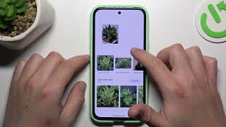 How To Reverse Image Search On Google Pixel 8A?