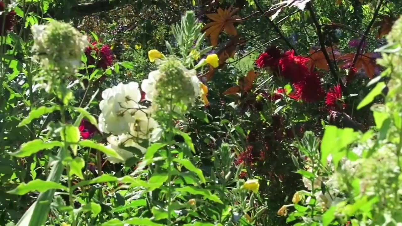 Paris Monet S Garden At Giverny Youtube