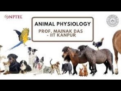 Animal Physiology | Week 12 Quiz | Assignment 12 Solution | NPTEL 2022 |  SWAYAM - YouTube
