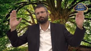הרב רפאל רובין - הילולא דרבי מאיר