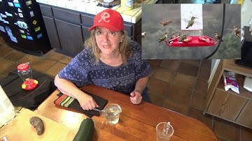 How to Make Hummingbird Nectar AND Tips to Attract Hummingbirds to Your Hummingbird Feeder