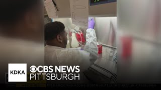 UPMC Hillman Academy students present their findings
