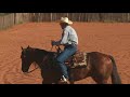 Todd Crawford  How to Keep Your Horse Soft In The Face