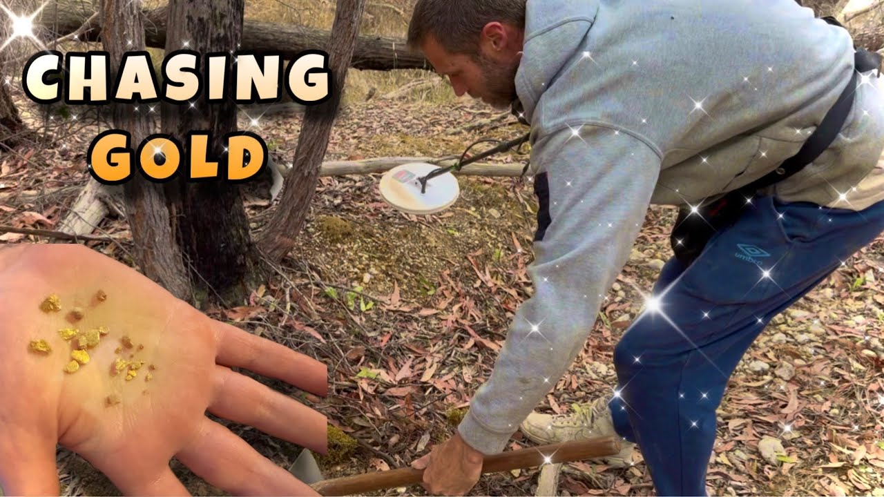 Лесные пожары в Виктории подтолкнули меня к новым золотым целям! @ChasingGoldAustralia