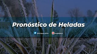 Pronstico De Heladas 30 Y 31 De Diciembre De 2020 Y 1 De Enero De 2021