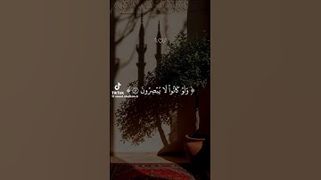 استمع القرآن الكريم #comedianmahmoudagamey #محمودعجمي #قران_كريم #قرآن #جمعة_مباركة #جمعه_طيبه