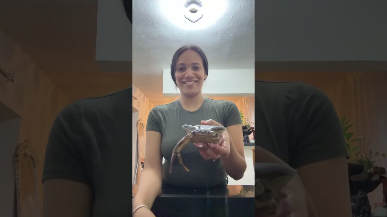 Ceiligenao  está en vivo