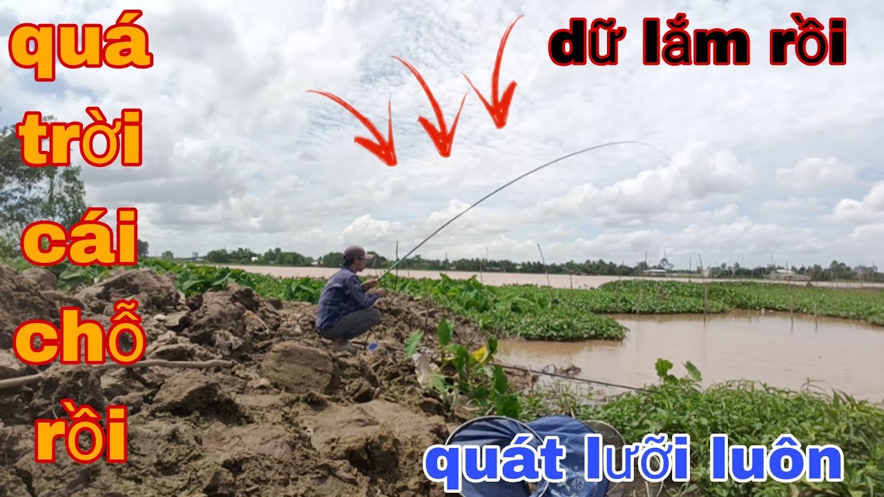 Câu cá sông! Cái điểm câu mới  thật không thể tin được cá nhiều gặp hàng to quát lưỡi luôn