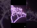galaxy in Minecraft