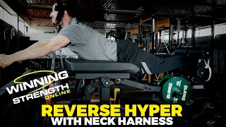 Reverse Hyper with Neck Harness Net Worth
