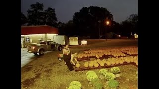 Pumpkin patch thieves caught on camera at Gloucester business