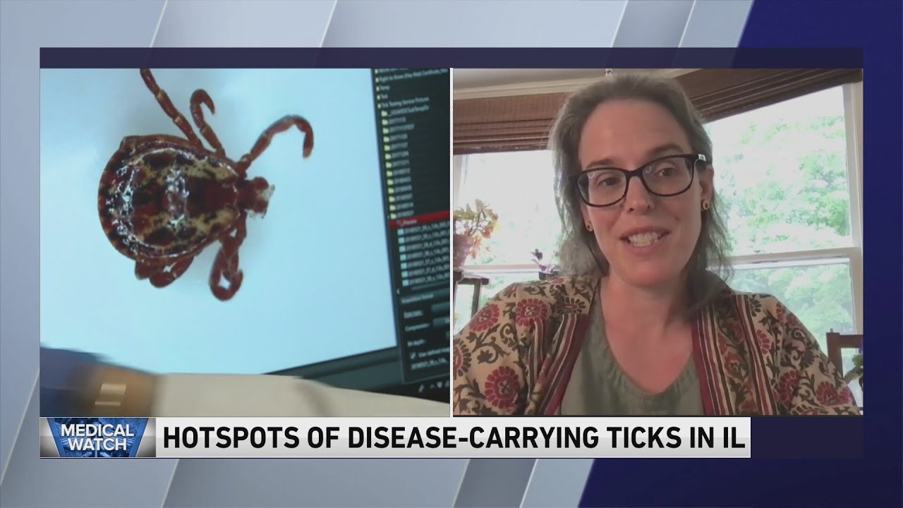 A look at the new study on ticks in Illinois - YouTube
