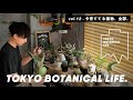 TBL - vol.12  都内1LDKで育てている"600株以上"の観葉植物達を全て振り返る