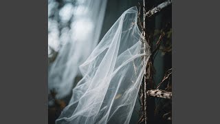 Lost Fragile Echoes