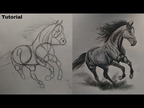 how to draw a horse (basic tutorial)