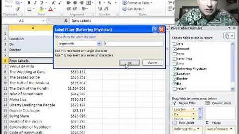 Excel Video 285 Label Filters