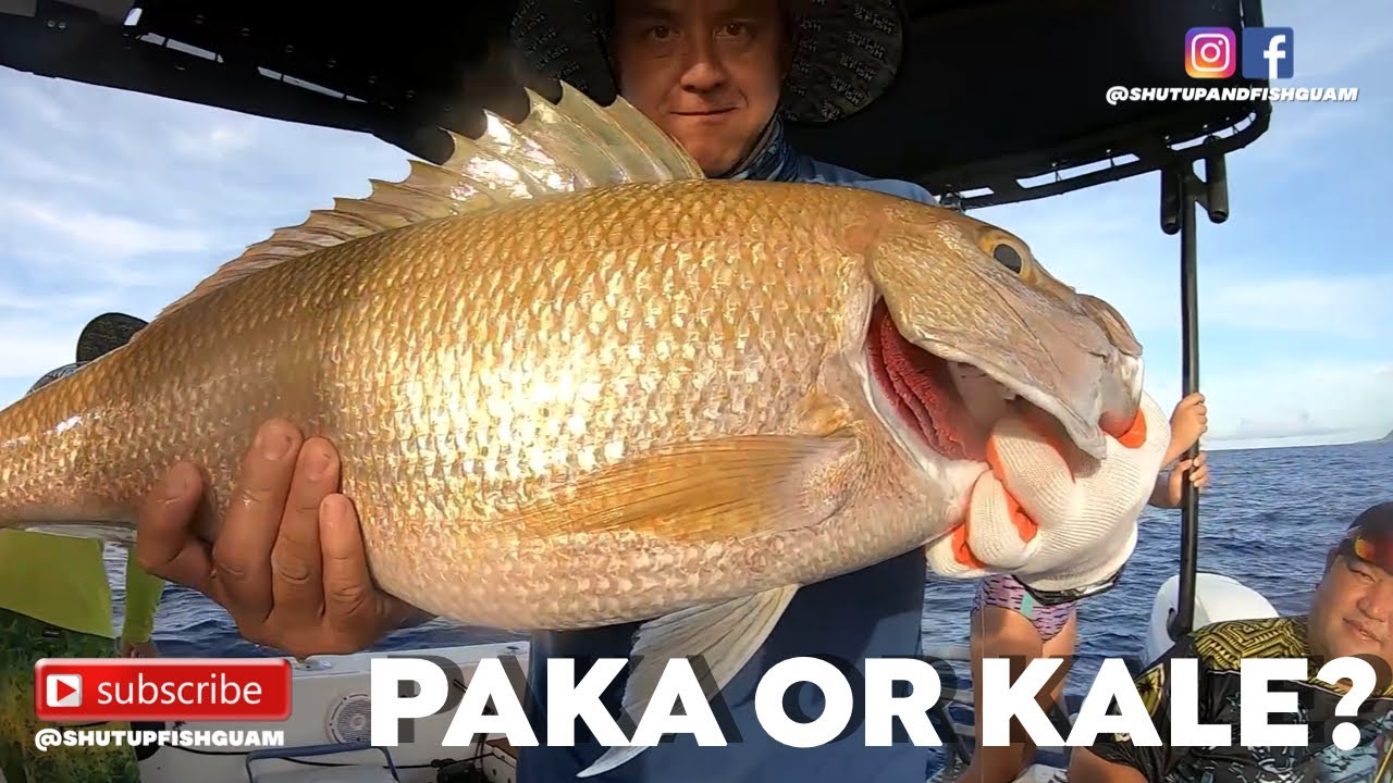 Giant PAKA or KALE? Shallow & Deep bottom Fishing {Shut up & Fish Guam