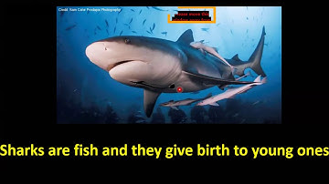 Science fusion Gr2 U 3 ls 2