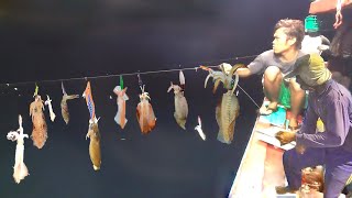 How To Longline Fishing Squid By Hand  Unbelievable Hundreds of Squid Were Caught on The Boat