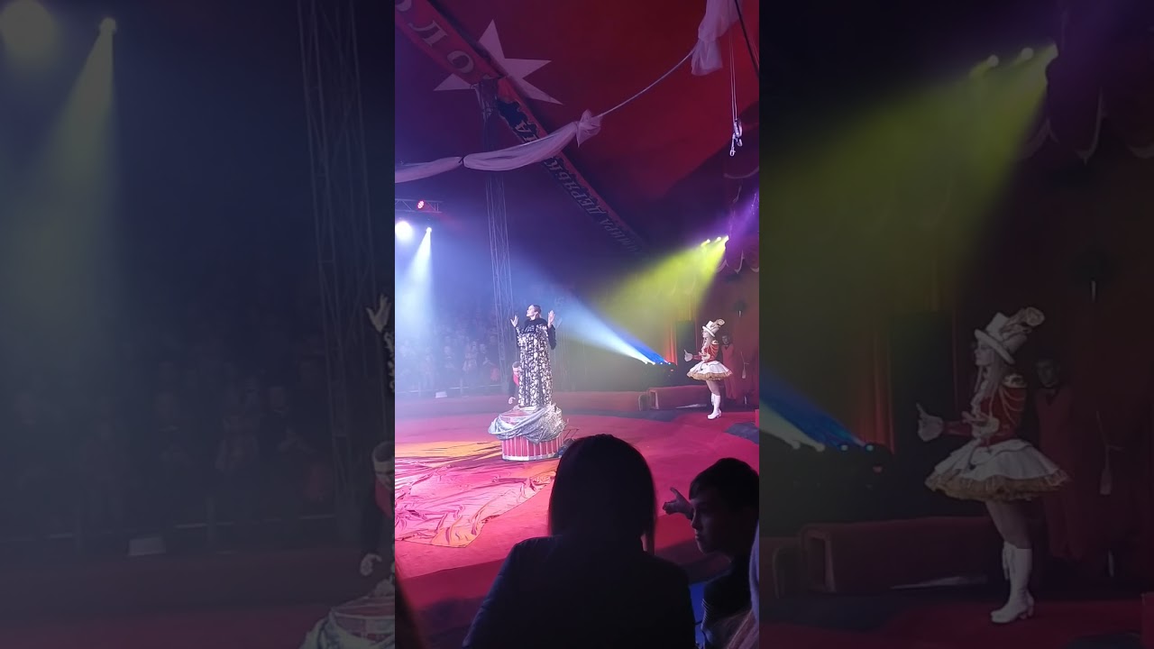 Цирк Шоу Владимира Дерябкина