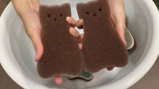 【ASMR】New kitchen sponges × Hair shampoo