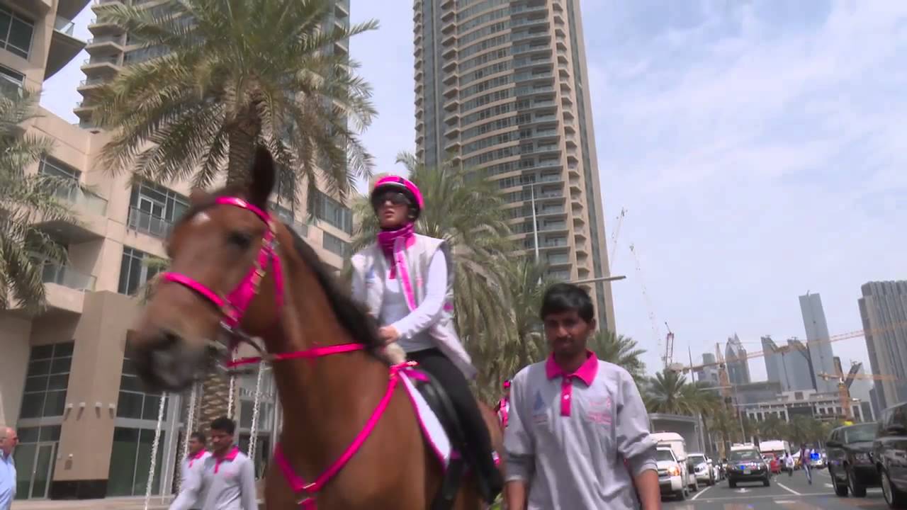 Pink Caravan ٌRide 2015 | Day 8 مسيرة فرسان القافلة الوردية 2015 | اليوم