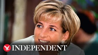 CCTV shows Princess Diana's 'drunk' driver on day of fatal car crash