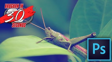 Photoshop | Solid Color Fill Adjustment Layer