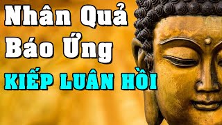 Chuyện Nhân Quả Báo Ứng Về Kiếp Luân Hồi Có Thật 100% - Kể Truyện Đêm Khuya