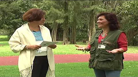 LA META DEL PLANETA programa 73: Entrevista a Lind...