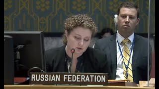 Statement by DPR Anna Evstigneeva at UNSC briefing on the activities of the UNOWAS