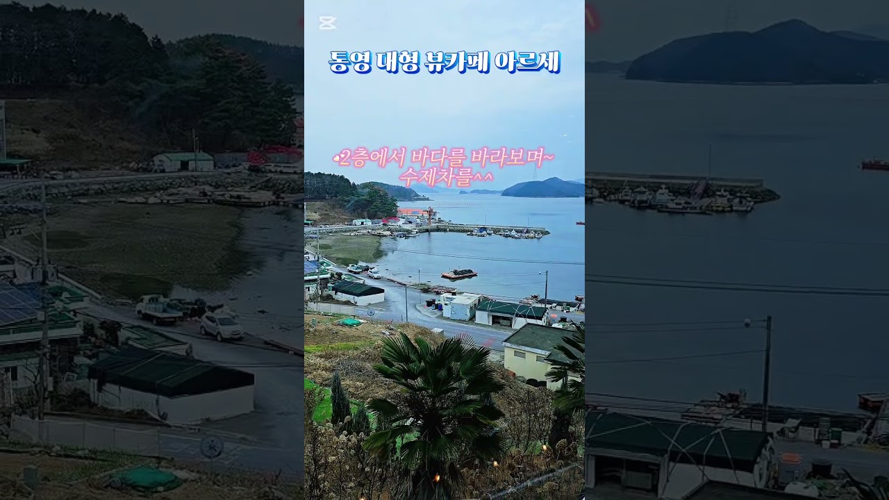 #통영아르세카페 #통영대형카페   #통영베이커리카페 #통영오션뷰카페 #통영여행 #통영동백  #정원카페  #shorts  #통영수국카페 #내돈내산