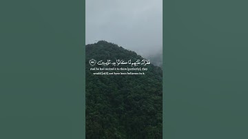 ( وإنه لتنزيل رب العالمين ) _سورة الشعراء_ الشيخ ياسر الدوسري