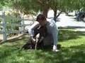 avec's most vicious attack.  why pit bulls are "dangerous".