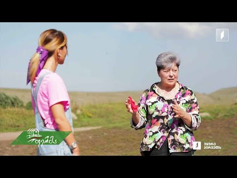 #ფერმა სოფლის მაშენებელი ფერმერი ქალის აგროისტორია წალკაში