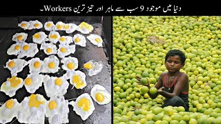 9 Most Fast Workers In The World | دنیا کے سب سے تیز ترین ورکرز | Haider Tv