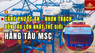 Chuyến tàu đầu tiên của hãng tàu MSC lớn nhất thế giới cập cảng Phước An Nhơn Trạch || Saigonland