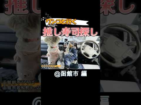 にけさんぽメモ〜 推し寿司探し@函館市 〜 #寿司 #美味しい #ワンコ連れ