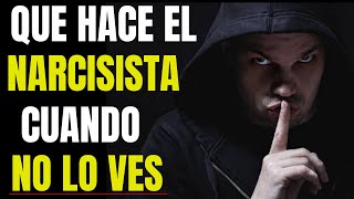 LA DOBLE VIDA DE LOS NARCISISTAS, TODAS LAS RESPUESTAS (TPN)