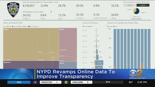 NYPD Revamps Online Data To Improve Transparency