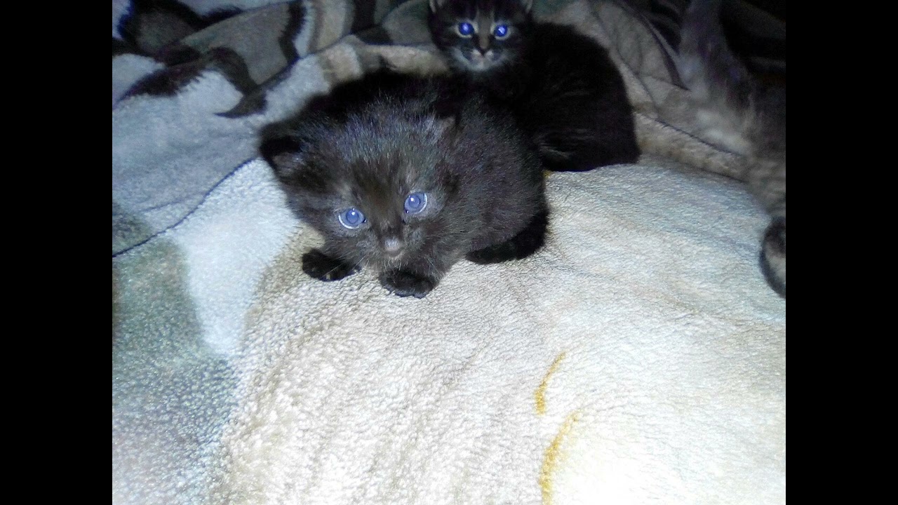 Vinsemp3 — There's Reason You're Alone (slowed + rewerb)